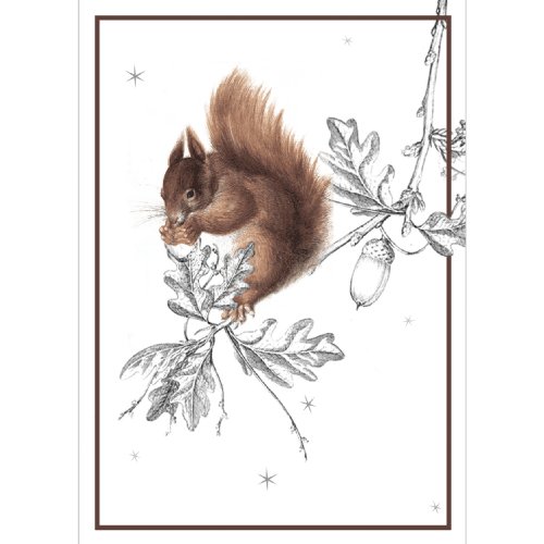Gruß Klappkarte mit Eichhörnchen nicht nur zu Weihnachten, DIN A6 gefaltet, inkl gefütterten Umschlag weiß • Klappkarten Set mit Umschlag zum Fest der Liebe Geschenk-Karten von Kartenkaufrausch