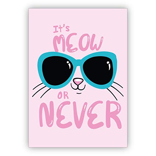 Lustige rosa Katzen Motto Klappkarte: It's meow or never • liebevolle Beistands Klappkarte mit Spruch für beste Freunde, Familie & Lieblingsmenschen Lustige rosa Katzen Motto Klappkarte: It's meow or never • liebevolle Beistands Klappkarte mit Spruch für beste Freunde, Familie & Lieblingsmenschen von Kartenkaufrausch