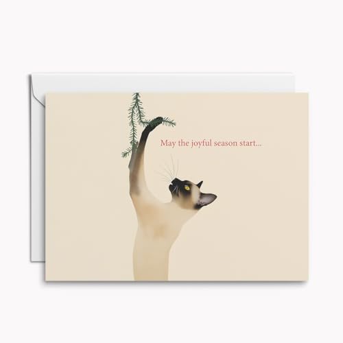 Set mit 4 originellen Weihnachtskarten May the joyful season start… – moderne Klappkarten mit Siamkatze & Tannenzweig, inkl. Umschläge & weiße Einleger von Kartenkaufrausch