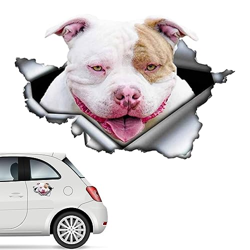 Wandaufkleber Hund, niedlicher Autoaufkleber mit französischen Hunden | kreative dekorative Aufkleber für Kindergarten, Wohnzimmer, Schlafzimmer, Kinderzimmer Wandaufkleber Hund, niedlicher Autoaufkleber mit französischen Hunden | kreative dekorative Aufkleber für Kindergarten, Wohnzimmer, Schlafzimmer, Kinderzimmer von Kasmole