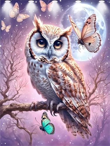 Eule Diamond Painting Erwachsene, 5D DIY Schmetterling Diamant Painting Bilder für Kinder, Malen nach Zahlen Diamant Anfänger, Daiments Bastelset Set Malerei Stickerei Geschenke Wanddeko 50x70cm Y-261 von Kazhxnng
