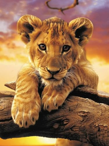 Löwe Diamond Painting Erwachsene, 5D DIY Tiere Diamant Painting Bilder für Kinder ab 8 Jahre, Malen nach Zahlen Diamant Anfänger, Daiments Bastelset Set Malerei Stickerei Geschenke 50x70cm F1-319 Löwe Diamond Painting Erwachsene, 5D DIY Tiere Diamant Painting Bilder für Kinder ab 8 Jahre, Malen nach Zahlen Diamant Anfänger, Daiments Bastelset Set Malerei Stickerei Geschenke 50x70cm F1-319 von Kazhxnng