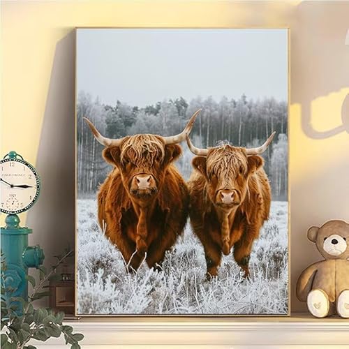 Malen Nach Zahlen Erwachsene Hochland Kuh, Malen Nach Zahlen ab 9 Jahre Mädchen Tier, Paint by Numbers Adults Hobby Leinwand 50x70cm, DIY Bastelset Erwachsene Kinder, Mit 3 Pinseln, Acrylfarbe YH2-83 Malen Nach Zahlen Erwachsene Hochland Kuh, Malen Nach Zahlen ab 9 Jahre Mädchen Tier, Paint by Numbers Adults Hobby Leinwand 50x70cm, DIY Bastelset Erwachsene Kinder, Mit 3 Pinseln, Acrylfarbe YH2-83 von Kazhxnng