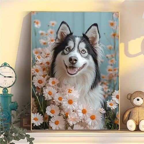Malen Nach Zahlen Erwachsene Hund, Malen Nach Zahlen ab 9 Jahre Mädchen Blumen, Paint by Numbers Adults Hobby Leinwand 60x80cm, DIY Bastelset Erwachsene Kinder, Mit 3 Pinseln und Acrylfarbe YH2-111 Malen Nach Zahlen Erwachsene Hund, Malen Nach Zahlen ab 9 Jahre Mädchen Blumen, Paint by Numbers Adults Hobby Leinwand 60x80cm, DIY Bastelset Erwachsene Kinder, Mit 3 Pinseln und Acrylfarbe YH2-111 von Kazhxnng