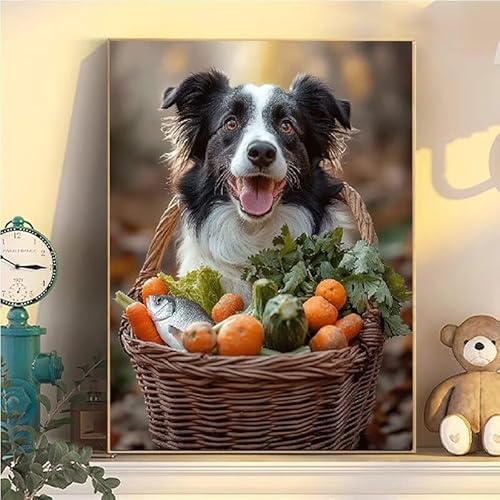 Malen Nach Zahlen Erwachsene Hund, Malen Nach Zahlen ab 9 Jahre Mädchen Gemüse, Paint by Numbers Adults Hobby Leinwand 60x80cm, DIY Bastelset Erwachsene Kinder, Mit 3 Pinseln und Acrylfarbe YH2-127 Malen Nach Zahlen Erwachsene Hund, Malen Nach Zahlen ab 9 Jahre Mädchen Gemüse, Paint by Numbers Adults Hobby Leinwand 60x80cm, DIY Bastelset Erwachsene Kinder, Mit 3 Pinseln und Acrylfarbe YH2-127 von Kazhxnng