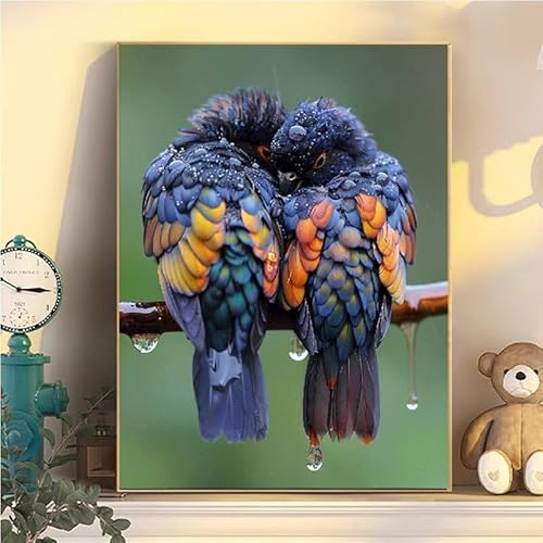 Malen Nach Zahlen Erwachsene Tier, Malen Nach Zahlen ab 9 Jahre Mädchen Vögel, Paint by Numbers Adults Hobby Leinwand 45x60cm, DIY Bastelset Erwachsene Kinder, Mit 3 Pinseln und Acrylfarbe YH2-67 von Kazhxnng