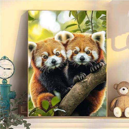 Malen Nach Zahlen Erwachsene Waschbär, Malen Nach Zahlen ab 9 Jahre Mädchen Tier, Paint by Numbers Adults Hobby Leinwand 50x70cm, DIY Bastelset Erwachsene Kinder, Mit 3 Pinseln und Acrylfarbe YH2-289 von Kazhxnng