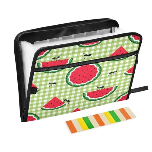 Kcldeci Akkordeon-Dokumentenmappe mit 13 Fächern, Motiv: niedliche Ameisen, Wassermelone, Akkordeon-Ordner, A4, Briefgröße, Dokumente, Quittungen, Organizer, Akkordean-Aktenordner für Klassenzimmer Kcldeci Akkordeon-Dokumentenmappe mit 13 Fächern, Motiv: niedliche Ameisen, Wassermelone, Akkordeon-Ordner, A4, Briefgröße, Dokumente, Quittungen, Organizer, Akkordean-Aktenordner für Klassenzimmer von Kcldeci