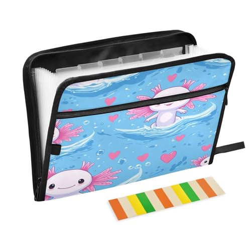 Kcldeci Axolotls Akkordeon-Aktenordner, Akkordeon-Ordner, A4-Briefgröße, Akkordeon-Ordner, Akkordeon-Ordner, Akkordeon-Aktenordner für Klassenzimmer, Zuhause, Büro und Reisen, Blau Kcldeci Axolotls Akkordeon-Aktenordner, Akkordeon-Ordner, A4-Briefgröße, Akkordeon-Ordner, Akkordeon-Ordner, Akkordeon-Aktenordner für Klassenzimmer, Zuhause, Büro und Reisen, Blau von Kcldeci