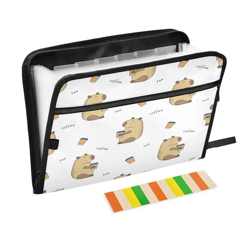 Kcldeci Capybara Fächermappe mit 13 Fächern, Akkordeon-Aktenordner, A4, Briefgröße, Papier, Dokumente, Quittungen, Organizer, Akkordean-Aktenordner für Klassenzimmer, Zuhause, Büro und Reisen von Kcldeci