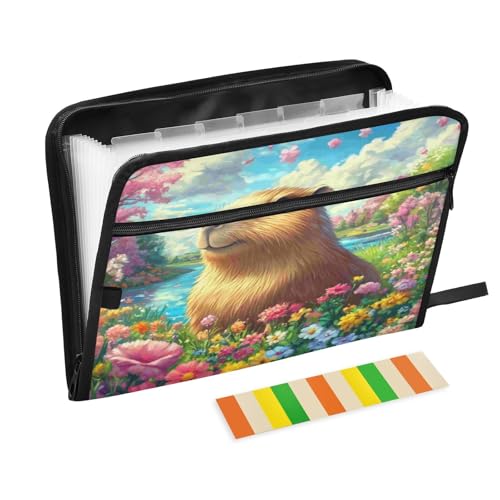 Kcldeci Capybara Fächermappe mit bunten Blumen, 13 Fächer, Akkordeon-Ordner, A4, Briefgröße, Papier, Dokumente, Quittungen, Organizer, Akkordean-Aktenordner für Klassenzimmer, Zuhause, Büro Kcldeci Capybara Fächermappe mit bunten Blumen, 13 Fächer, Akkordeon-Ordner, A4, Briefgröße, Papier, Dokumente, Quittungen, Organizer, Akkordean-Aktenordner für Klassenzimmer, Zuhause, Büro von Kcldeci