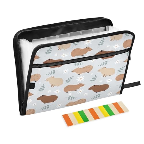 Kcldeci Capybaras Fächermappe mit 13 Fächern, Akkordeon-Ordner, A4, Briefgröße, für Dokumente, Quittungen, Akkordean, für Klassenzimmer, Zuhause, Büro und Reisen Kcldeci Capybaras Fächermappe mit 13 Fächern, Akkordeon-Ordner, A4, Briefgröße, für Dokumente, Quittungen, Akkordean, für Klassenzimmer, Zuhause, Büro und Reisen von Kcldeci