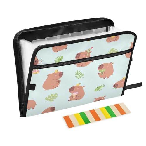 Kcldeci Cartoon Capibala Fächermappe für den Sommer, 13 Taschen, Akkordeon-Ordner, A4, Briefgröße, Papier, Dokumente, Quittungen, Organizer, Akkordean-Aktenordner für Klassenzimmer, Zuhause, Büro und Kcldeci Cartoon Capibala Fächermappe für den Sommer, 13 Taschen, Akkordeon-Ordner, A4, Briefgröße, Papier, Dokumente, Quittungen, Organizer, Akkordean-Aktenordner für Klassenzimmer, Zuhause, Büro und von Kcldeci