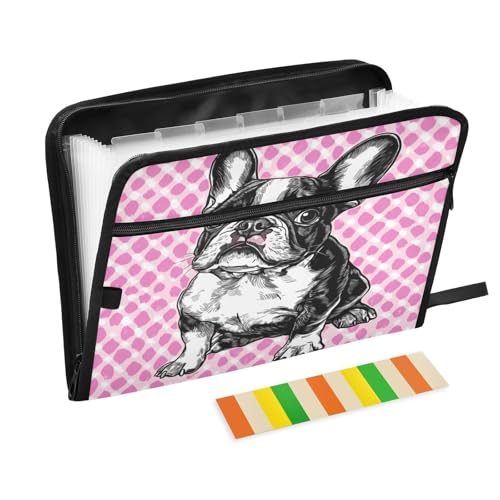 Kcldeci Eine niedliche Fächermappe mit französischer Bulldogge, 13 Fächer, Akkordeon-Ordner, A4, Briefgröße, Papier, Dokumente, Quittungen, Organizer, Akkordean-Aktenordner für Klassenzimmer, Zuhause Kcldeci Eine niedliche Fächermappe mit französischer Bulldogge, 13 Fächer, Akkordeon-Ordner, A4, Briefgröße, Papier, Dokumente, Quittungen, Organizer, Akkordean-Aktenordner für Klassenzimmer, Zuhause von Kcldeci