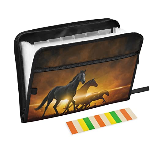 Kcldeci Fächermappe für Pferd mit Sonnenuntergang, 13 Taschen, Akkordeon-Aktenhalter, Organizer, A4, Briefgröße, Papier, Dokumente, Quittungen, Organizer, Akkordeon-Aktenordner Kcldeci Fächermappe für Pferd mit Sonnenuntergang, 13 Taschen, Akkordeon-Aktenhalter, Organizer, A4, Briefgröße, Papier, Dokumente, Quittungen, Organizer, Akkordeon-Aktenordner von Kcldeci