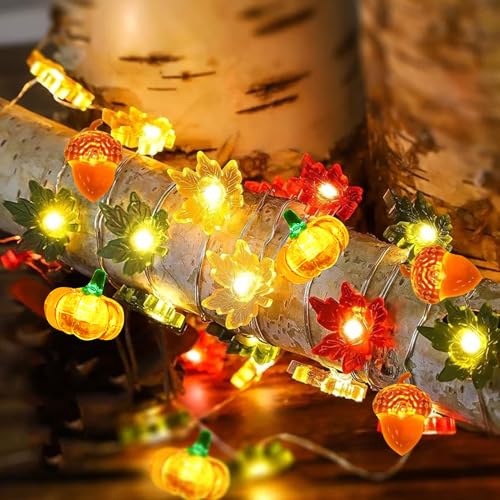 Herbstdeko Lichterkette Batterie,Eicheln Ahornblätter Kürbis Lichterketten mit Timer und 8 Modi,Herbst Ahornblatt Kürbisse Girlande Lichtern Fairy Lights für Erntedankfest Halloween (01,2M 20 LEDs) Herbstdeko Lichterkette Batterie,Eicheln Ahornblätter Kürbis Lichterketten mit Timer und 8 Modi,Herbst Ahornblatt Kürbisse Girlande Lichtern Fairy Lights für Erntedankfest Halloween (01,2M 20 LEDs) von Keho Keho Kehongdun