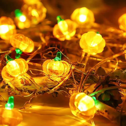 Herbstdeko Lichterkette Batterie,Eicheln Ahornblätter Kürbis Lichterketten mit Timer und 8 Modi,Herbst Ahornblatt Kürbisse Girlande Lichtern Fairy Lights für Erntedankfest Halloween (04,2M 20 LEDs) Herbstdeko Lichterkette Batterie,Eicheln Ahornblätter Kürbis Lichterketten mit Timer und 8 Modi,Herbst Ahornblatt Kürbisse Girlande Lichtern Fairy Lights für Erntedankfest Halloween (04,2M 20 LEDs) von Keho Keho Kehongdun
