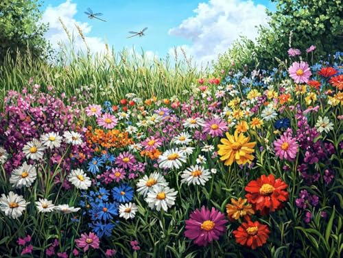 Malen Nach Zahlen Erwachsene, Malen Nach Zahlen Kinder ab 7-10, Handgemalt Ölgemälde Kreativ Set, Frühling Blumen Paint by Numbers, Home Office Wand Dekoration, Geburtstag Geschenk (70x90cm) H-22 von Keoxco