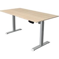 Kerkmann Move 1 elektrisch höhenverstellbarer Schreibtisch ahorn rechteckig, T-Fuß-Gestell silber 160,0 x 80,0 cm von Kerkmann