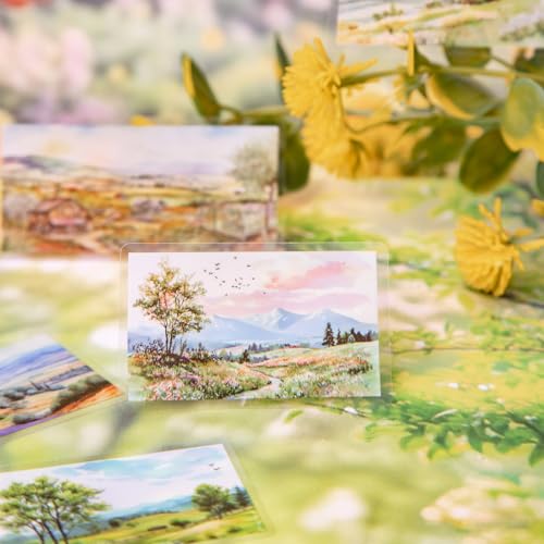 Kesari 192pcs Scrapbook Zubehör Scrapbooking Bullet Journal Zubehör,PET Natur Serie Scrapbook Stickers für Notebook,DIY Journaling,Painting(Return to Nature) von Kesari