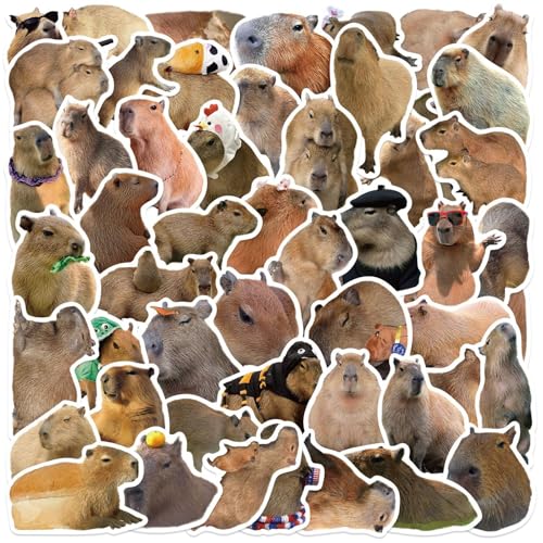 Capybara Aufkleber, 50 Stück Cute Animal Stickers, Brauner Colorful Wasserdichte Vinyl Fußball Aufkleber für Skateboard Auto Laptop Gitarre, Jugendliche und Kinder von Keulablen