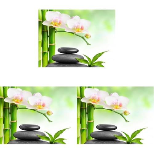 Kexpery Diamantmalerei-Set, Phalaenopsis, 40 x 30 cm, 5D, DIY, rund, Wandkunst, Heimdekoration, einfach zu montieren Kexpery Diamantmalerei-Set, Phalaenopsis, 40 x 30 cm, 5D, DIY, rund, Wandkunst, Heimdekoration, einfach zu montieren von Kexpery