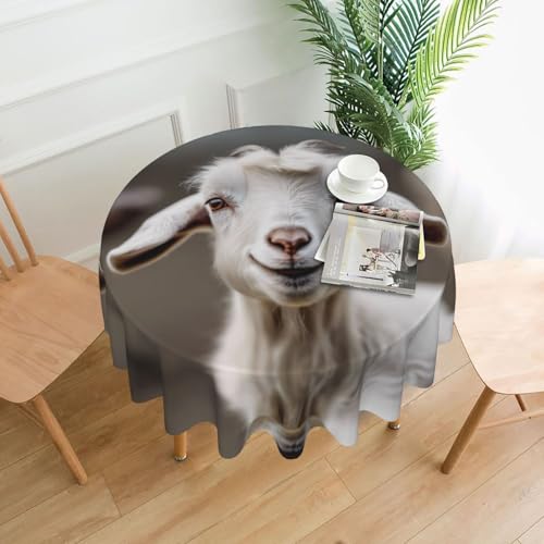 Cute Goat02 Tischdecke, 152,4 cm, Dekoration, Küche, Esszimmer, Buffet, Partys, Camping Cute Goat02 Tischdecke, 152,4 cm, Dekoration, Küche, Esszimmer, Buffet, Partys, Camping von Kfjghhl