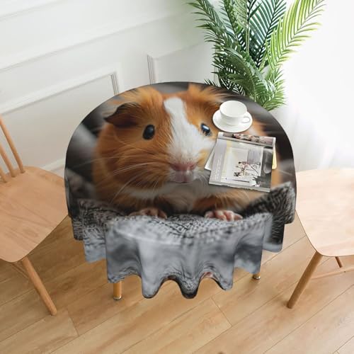Meerschweinchen-Tischdecke, 152,4 cm, Dekoration, Küche, Esszimmer, Buffet, Partys, Camping Meerschweinchen-Tischdecke, 152,4 cm, Dekoration, Küche, Esszimmer, Buffet, Partys, Camping von Kfjghhl