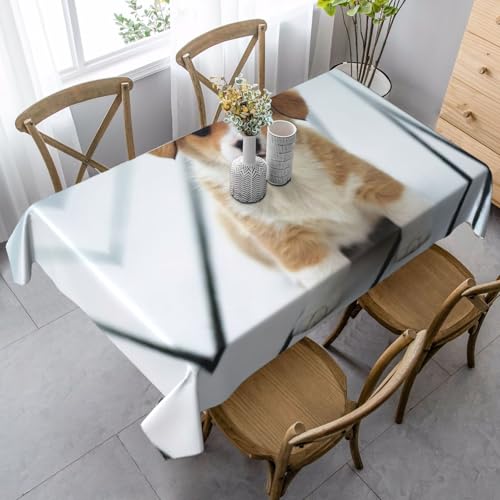 Tischdecke, waschbar, quadratisch, knitterfrei, antimadierend, für Küche, Esszimmer von Kfjghhl