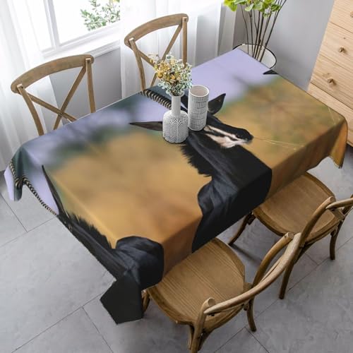 Tischdecke, waschbar, quadratisch, knitterfrei, antimadierend, für Küche, Esszimmer von Kfjghhl