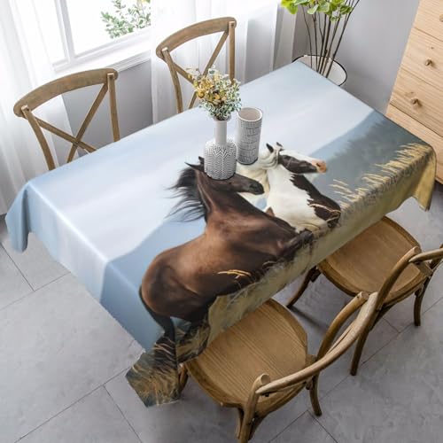 Tischdecke, waschbar, quadratisch, knitterfrei, antimadierend, für Küche, Esszimmer von Kfjghhl