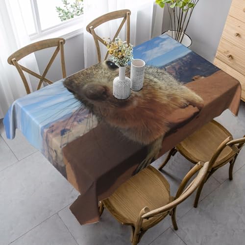 Tischdecke, waschbar, quadratisch, knitterfrei, antimadierend, für Küche, Esszimmer von Kfjghhl