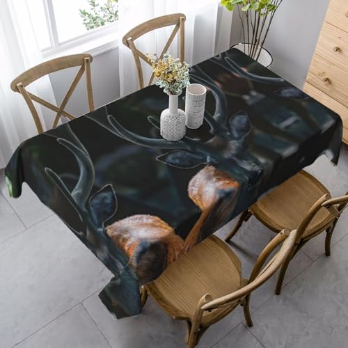 Tischdecke, waschbar, quadratisch, knitterfrei, antimadierend, für Küche, Esszimmer von Kfjghhl