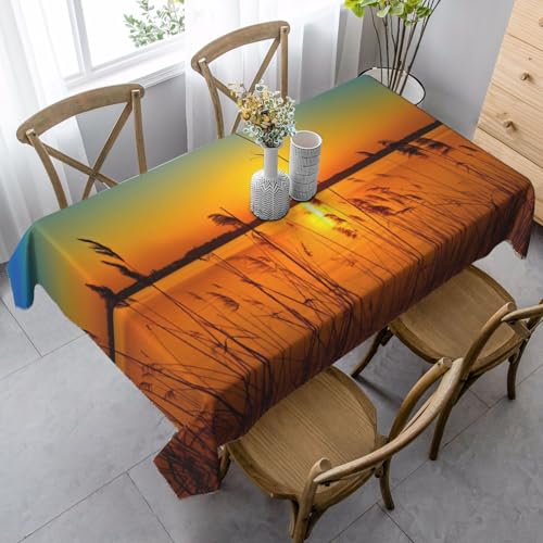 Tischdecke, waschbar, quadratisch, knitterfrei, antimadierend, für Küche, Esszimmer von Kfjghhl