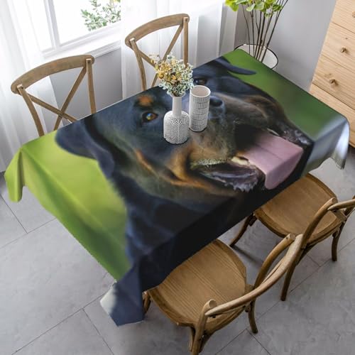 Tischdecke, waschbar, quadratisch, knitterfrei, antimadierend, für Küche, Esszimmer von Kfjghhl
