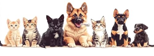 Malen Nach Zahlen Hund Malen Nach Zahlen Erwachsene Katze, 35x105 cm XXL Groß Acrylfarben Ölgemälde, DIY Malen Nach Zahlen Kinder Anfänger Paint by Numbers Adult Set für Wand Dekor(Ohne Rahmen)-H940 von Kggyele