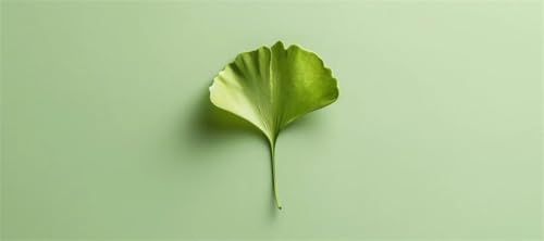 Malen Nach Zahlen Pflanze Malen Nach Zahlen Erwachsene Gingkoblatt, 170 X 85 cm XXL Groß Acrylfarben Ölgemälde, DIY Malen Nach Zahlen Kinder Anfänger Set Bastelset für Wand Dekor (Ohne Rahmen) -H242 von Kggyele