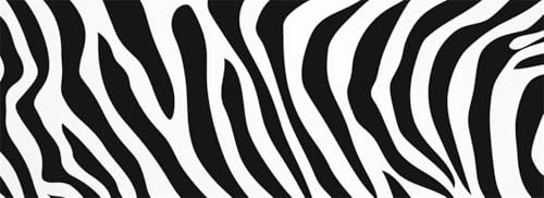 Malen Nach Zahlen Schwarz-Weiß Malen Nach Zahlen Erwachsene Streifen s, 35x105 cm XXL Groß Acrylfarben Ölgemälde, DIY Malen Nach Zahlen Kinder Anfänger Set Bastelset für Wand Dekor(Ohne Rahmen)-H964 von Kggyele