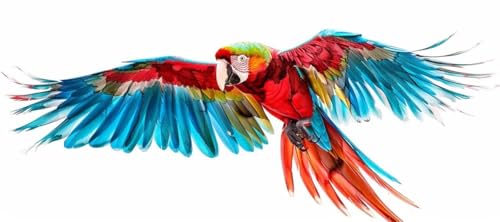 Malen Nach Zahlen Vogel Malen Nach Zahlen Erwachsene Papagei, 170 X 85 cm XXL Groß Acrylfarben Ölgemälde, DIY Malen Nach Zahlen Kinder Anfänger Paint by Numbers Set für Wand Dekor (Ohne Rahmen) -H419 von Kggyele