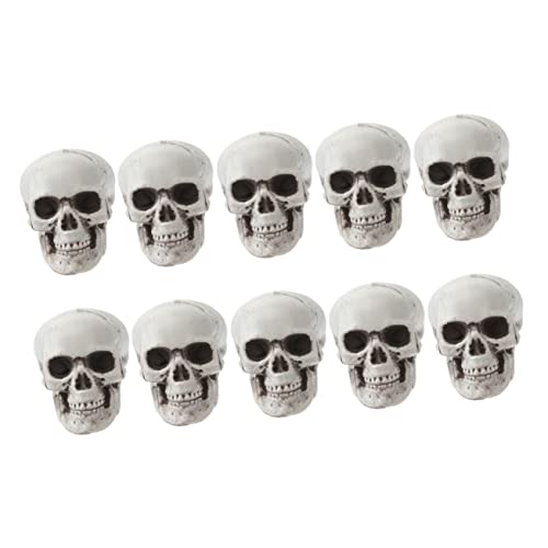 Kichvoe 10Stücke Halloween Schädel Realistische Requisiten für Gruselige Festtagsatmosphäre für Partys Spukhäuser und Tischdekorationen Kichvoe 10Stücke Halloween Schädel Realistische Requisiten für Gruselige Festtagsatmosphäre für Partys Spukhäuser und Tischdekorationen von Kichvoe