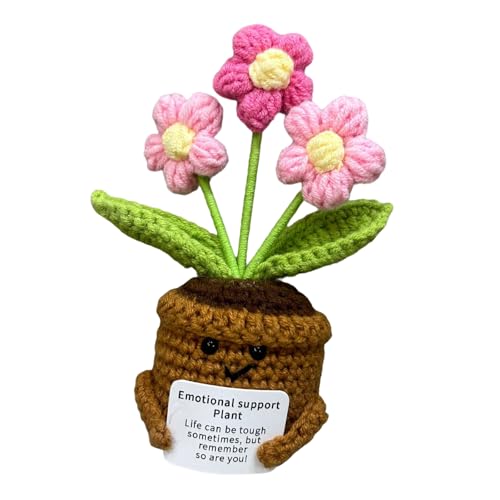 KieTeiiK Häkeln Topf Pflanze Set | Anfänger Freundliche Bastelkits Mit Illustriertem Tutorial & Natural Cotton Family Bonding Handwerksaktivität von KieTeiiK