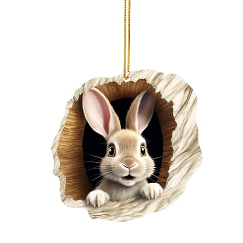 Acryl Anhänger Ostern Hase Ornamente Ostergeschenk, 2D Acryl Hängedeko, Acryl-Anhänger mit Osterhasenmuster im Loch, Bezaubernde Dekoration zur Feier der Osterfeierlichkeiten (D, One Size) von Kielsjajd