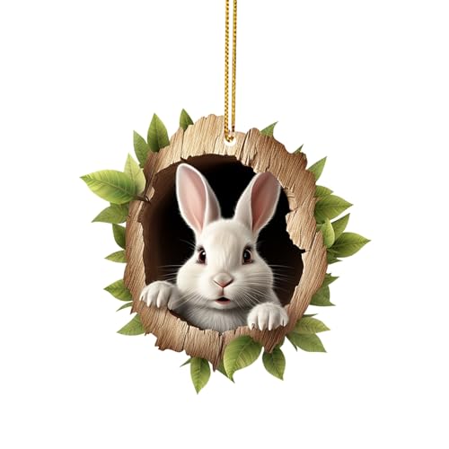 Niedlicher Acryl Anhänger Ostern Hase Ornamente Ostergeschenk, Osteranhänger zum Aufhängen, 2D Acryl Hängedeko, Ostern Anhänger, Osterhase Osterschmuck Ostern Deko, für Ostern Frühling (B-a, One Size) Niedlicher Acryl Anhänger Ostern Hase Ornamente Ostergeschenk, Osteranhänger zum Aufhängen, 2D Acryl Hängedeko, Ostern Anhänger, Osterhase Osterschmuck Ostern Deko, für Ostern Frühling (B-a, One Size) von Kielsjajd