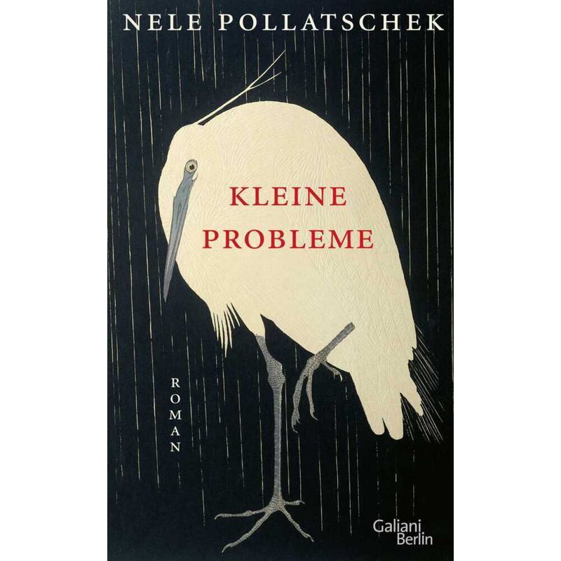 Kleine Probleme - Nele Pollatschek, Gebunden von Kiepenheuer & Witsch