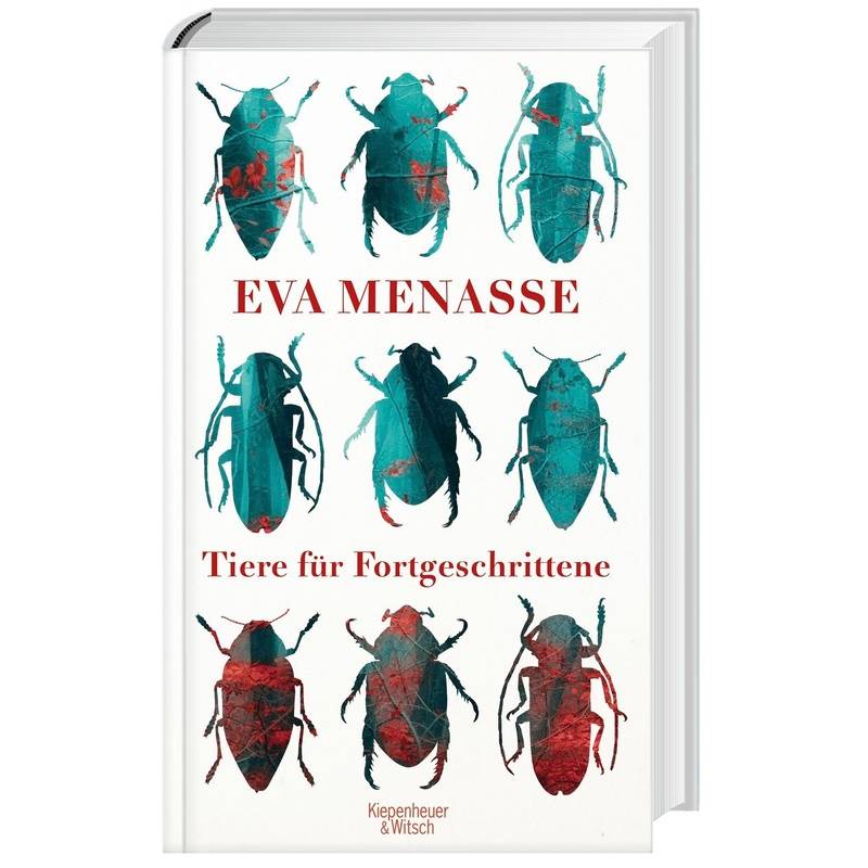 Tiere Für Fortgeschrittene - Eva Menasse, Gebunden von Kiepenheuer & Witsch