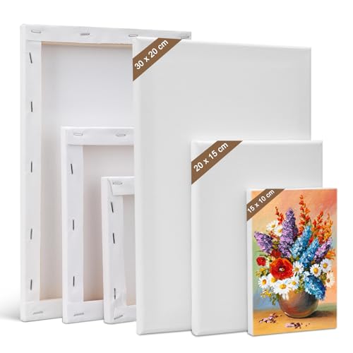 Kigniote Leinwand Set, 6 Stück Leinwand zum Bemalen 30x20,20x15,15x10 cm Keilrahmen Weiß Malen Canvas Künstlertafelbilder für Ölgemälde Acryl Leinwandpaneele für Bastler und Künstler Kigniote Leinwand Set, 6 Stück Leinwand zum Bemalen 30x20,20x15,15x10 cm Keilrahmen Weiß Malen Canvas Künstlertafelbilder für Ölgemälde Acryl Leinwandpaneele für Bastler und Künstler von Kigniote