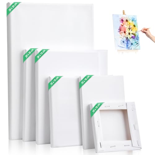 Kigniote Leinwand Set, 6 Stück Leinwand zum Bemalen 30x20,20x20,20x15,15x15,15x10, 10x10cm Keilrahmen Weiß Malen Canvas Künstlertafelbilder für Ölgemälde Acryl Leinwandpaneele für Bastler und Künstler von Kigniote