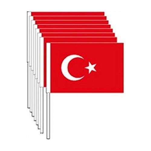 Kikajoy Çıtalı Bayrak 100lü Atatürk + 100lü Ay Yıldız 19,50 cm x 12 cm von Kikajoy