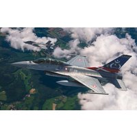 F-16B Denmark F-16B Denmark von Kinetic Model Kits