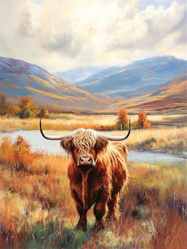 Hochlandrinder -Malen nach Zahlen für Erwachsene, DIY digitales Ölgemälde Set auf Leinwand mit Pinseln und Acrylpigment, Teenager Geschenkideen Artwork für Heimdekoration, 45x60cm (ohne Rahmen) H-104 von Kinooge